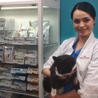 Ветеринарная клиника ДиаВет Фото 2 на проекте VetSpravka.ru Ветеринарная клиника ДиаВет Фото 2 на проекте VetSpravka.ru