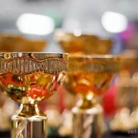 Новосибирский городской кинологический центр Мэджэстик Фото 2 на проекте Nsk.vetspravka.ru Новосибирский городской кинологический центр Мэджэстик Фото 2 на проекте Nsk.vetspravka.ru