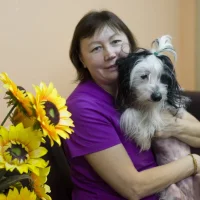 Ветеринарная клиника АЙС Фото 2 на проекте Nsk.vetspravka.ru