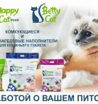Клуб любителей кошек Зефир Фото 6 на проекте Nsk.vetspravka.ru