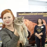 Клуб любителей кошек Зоостар Фото 2 на проекте Nsk.vetspravka.ru