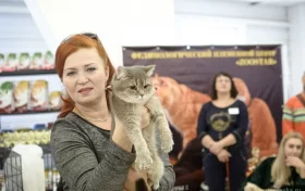 Клуб любителей кошек Зоостар Фото 2 на проекте Nsk.vetspravka.ru